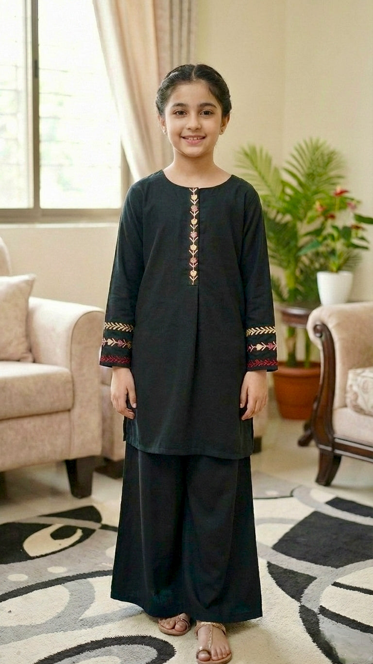 2 Piece Imported Georgette Embroidery Short Shirt & Plazo.