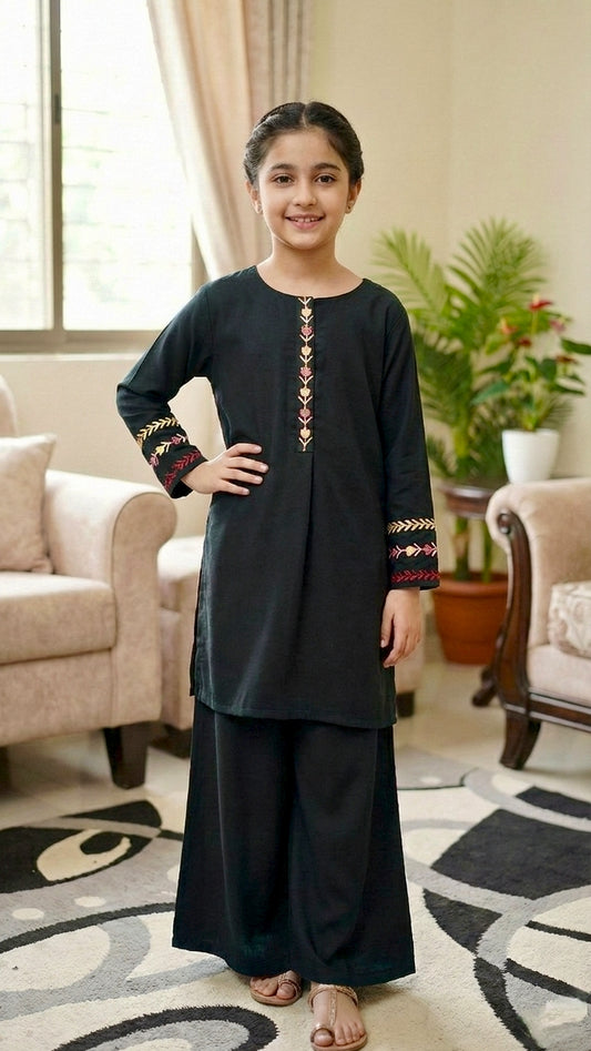 2 Piece Imported Georgette Embroidery Short Shirt & Plazo.
