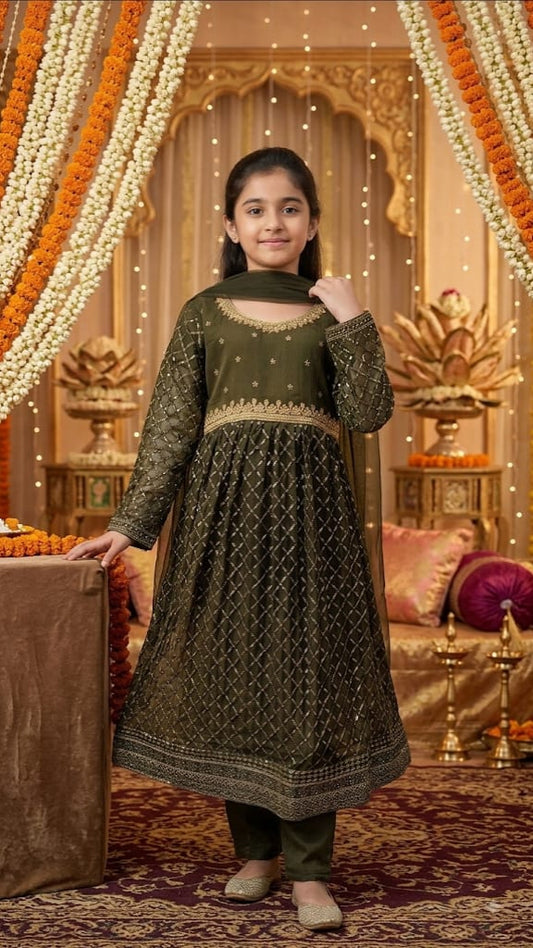 Stitched Formal Wedding chiffon Embroidery collection.