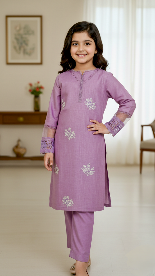 2 Piece Winter Khaddar Embroidery Suit.